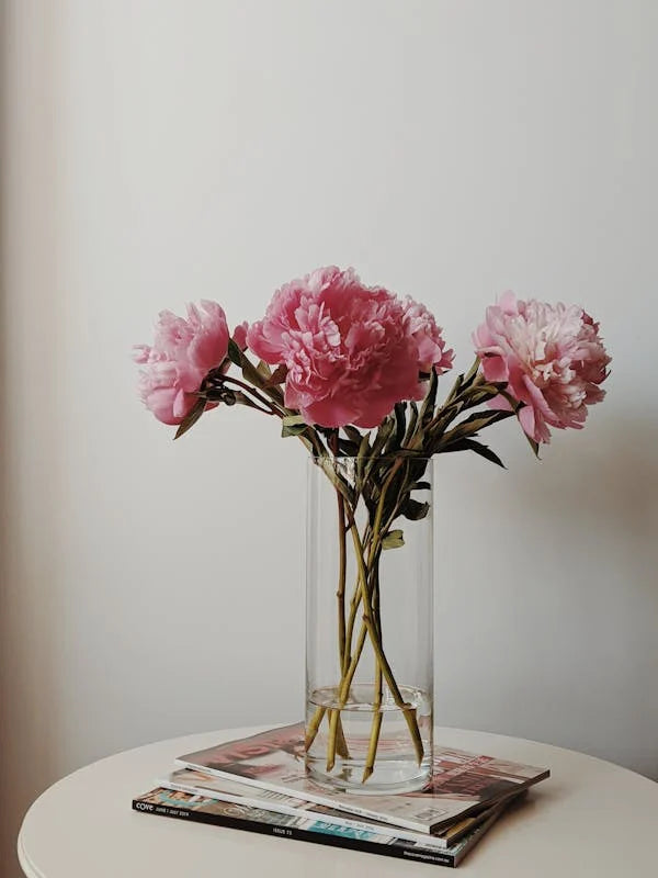 Home Décor